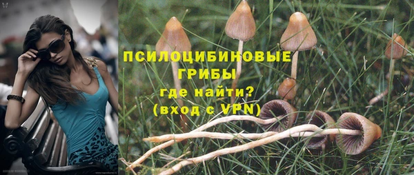 прущая мука Туринск