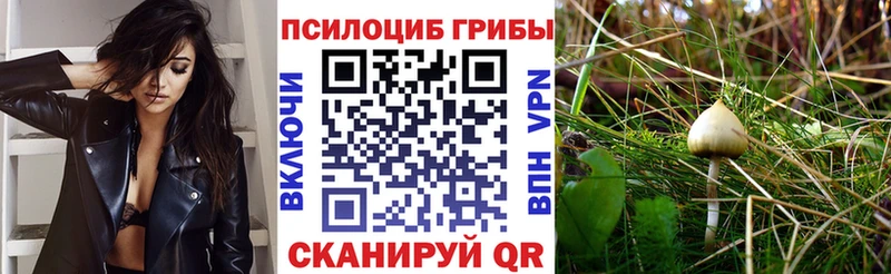 Галлюциногенные грибы Cubensis  Волжск 
